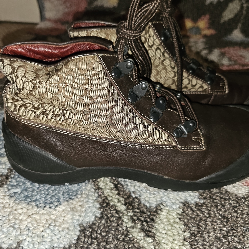 Coach Brown Leather Dyanne Boots